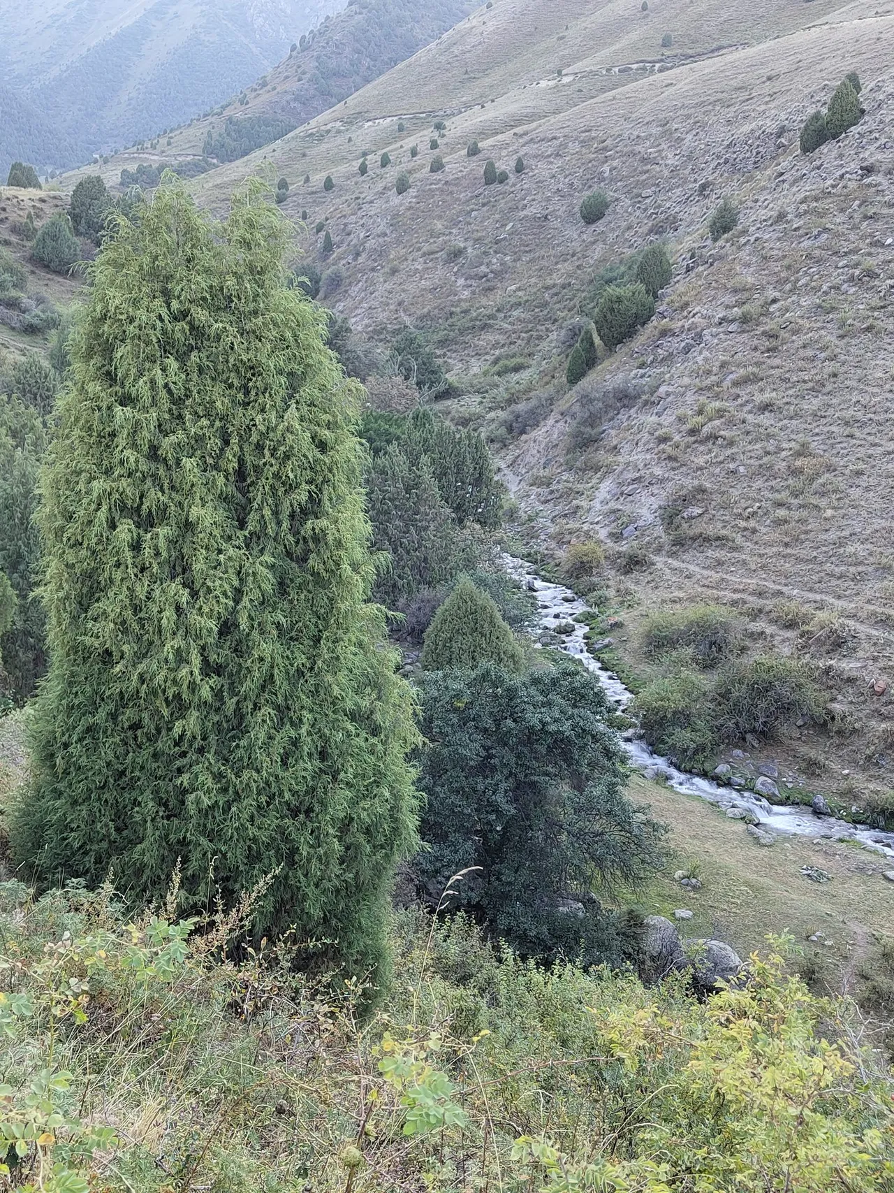 Ущелье и водопад Белогорка (Сокулук)